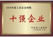 2008年工业企业纳税十强